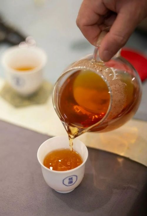 千年茶韵，浙里传承创新，茶文化爆款来袭！