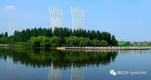 四、生态保护？还是生态秀场？