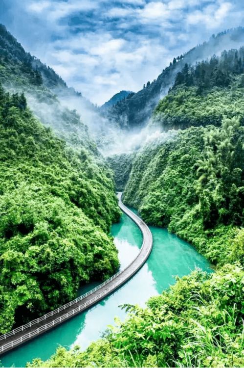 画山：活生生的水墨丹青
