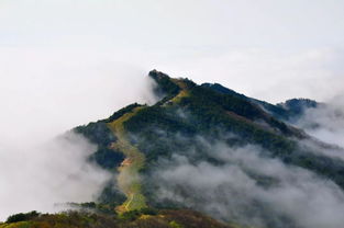 巫山女神庙：阿姨们跳广场舞的地方