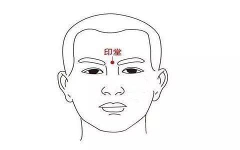 星座较大揭密：从天文学到面相学