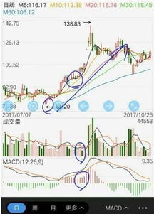 2026年天气预言：五行失衡的灾难现场