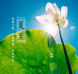 夏至的传统方式活动？