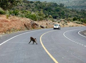 当银川的喧嚣撞上高台的寂寞：一段没人要的破旅程