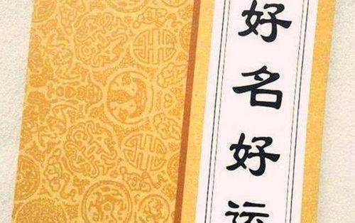 诚字：诚信，是立身之本！（而且超十分沉关键！）
