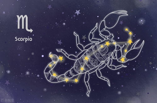 2024最新星座悲惨排行榜！处女座又垫底了！