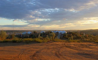 鄂尔多斯草原：绿色的海洋还是骗人的草地？