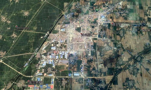 文雅交融的漩涡：皮影戏与扒鸡的跨省情缘