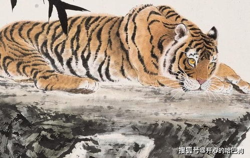 2026年属虎人的事业压力和财运走势具体表现如何？