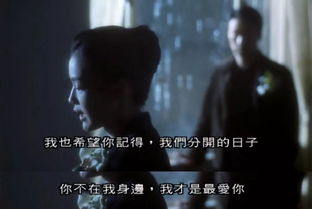 十二生肖与校园幽魂：谁最容易被缠身？