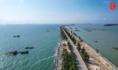 西台吉乃尔湖：真正的“水上公路”