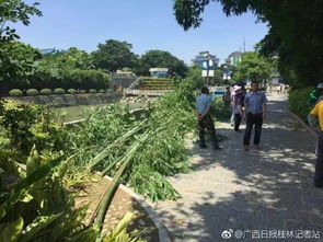 农庄真相：3A级景区的皇帝新衣