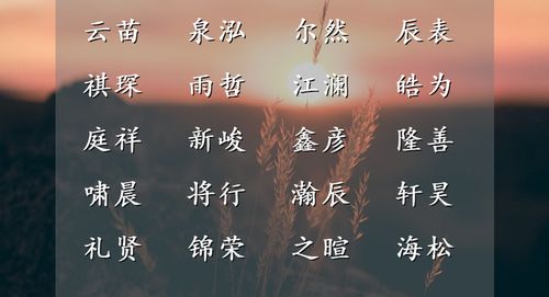 音韵与结构