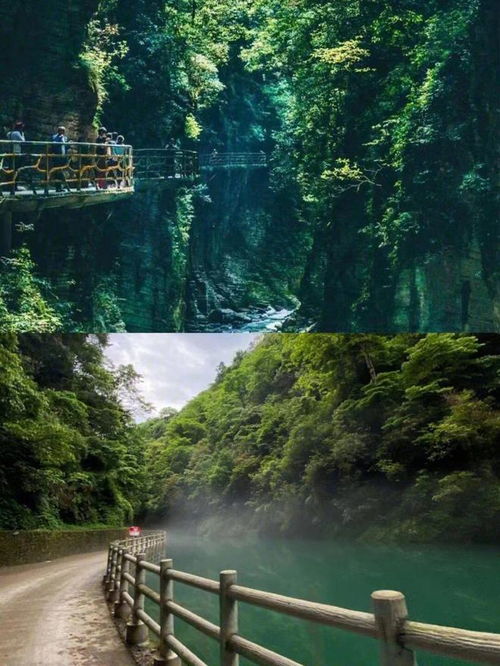 交通灾难现场