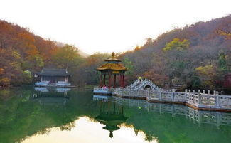 琅琊山：一场被商业化的幻灭之旅