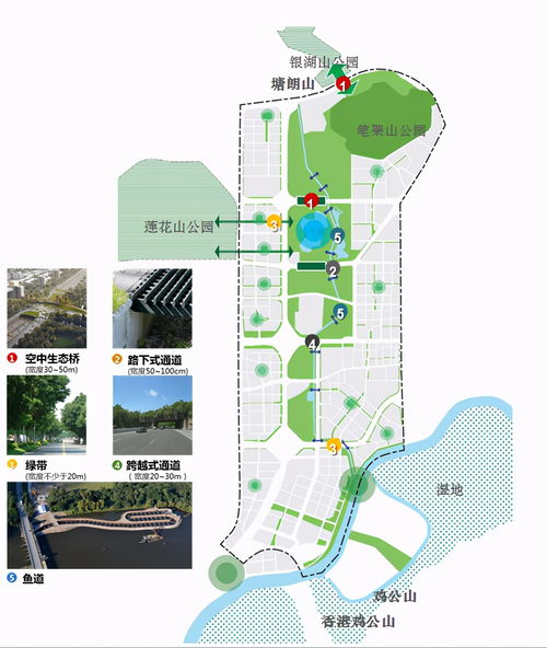 街头小吃 (好吃不贵!)