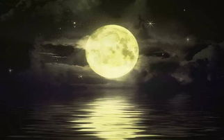 中秋夜别赏月