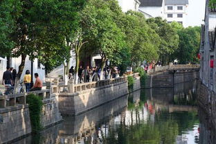 交通？不如走路！