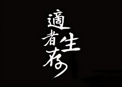 夜深厚人静