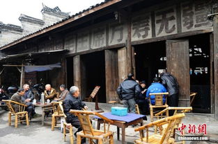 震惊！成都茶馆根本不是你想的那样！2026年黄历显示这些日子去要倒霉