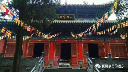 嵩山周边隐藏宝藏：别只盯着少林寺不放好吗？