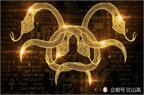 生肖与宿命的纠缠