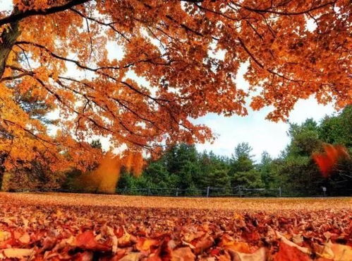 四、自驾乱跑路线（随意编造）🚗💨💨💨