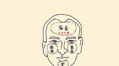 塌鼻子没救了？反转来了！