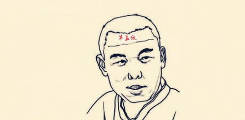 抬头纹：命运的神秘密码还是皮肤松弛的悲剧？