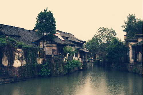 新市古镇：破旧版南浔
