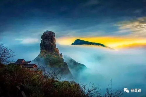 揭开神秘面纱， 一探究竟