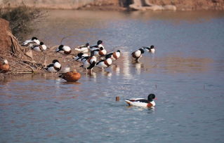 为什么非要是这个时候呢？