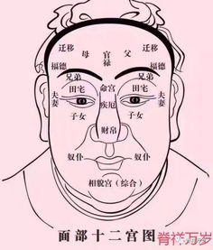 卧蚕明显，男的面相会好吗？