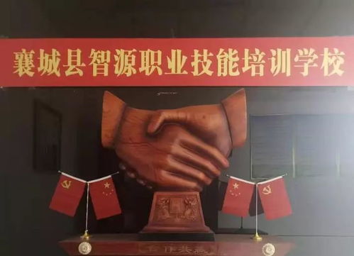 鼠——潜伏在图书馆深处的细语