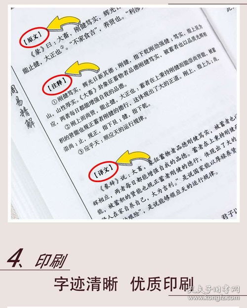 如何通过阅读《螺旋与风水 风水玄学入门书籍》来掌握风水玄学知识？