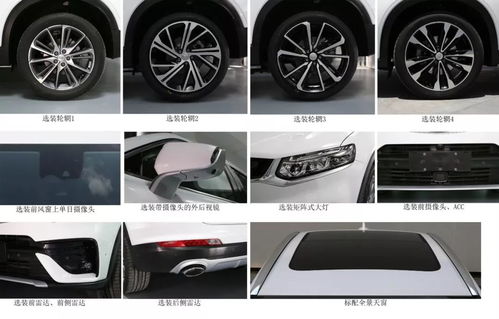 先来点儿噪音：星座、 生肖、八字乱入
