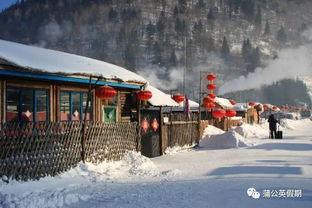雪乡：童话细小镇的梦幻世界（真的有点冷）