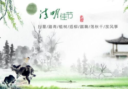 清明祭祖春光里传承记忆拥抱新生