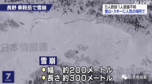 行业洞察：数据背后的真实相