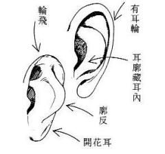 纯阴八字命理如何？八字纯阴女命运真的不好吗？