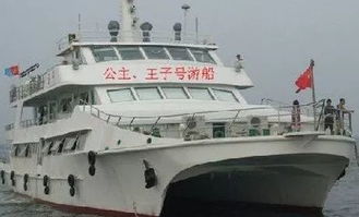 噪音警报：随意的文字碎片