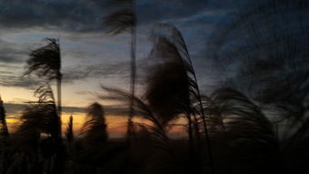 三、 风水布局失衡导致鬼影频现——案例分析（乱序）