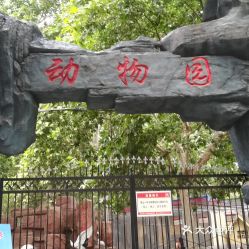 第七章：动物园——天然魅力无限放飞自我