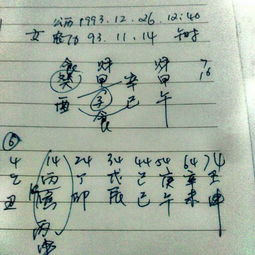 1993年12月26日12时出生的女命，阳历，八字婚姻运势如何？
