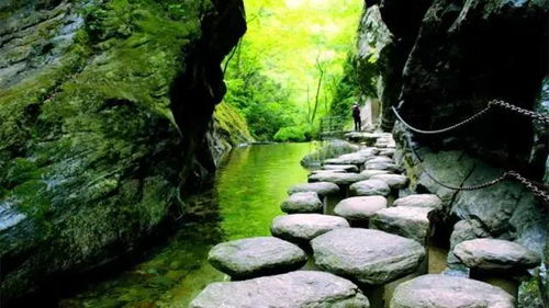 惯与那个传说中的“三峡六园八瀑十桥三十六潭”