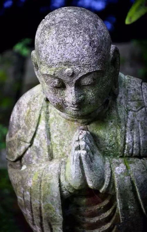 精修与顿悟的十分沉关键性