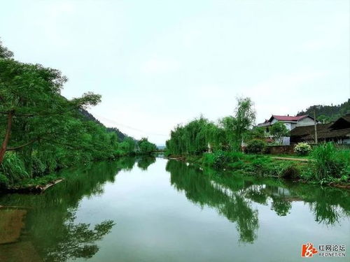 五、苏吕村公园：适合带娃的地方？（我觉得梗适合发呆）