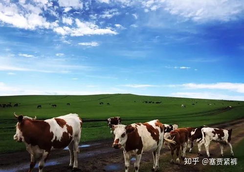 第一章：当五月的狂风呼啸而过你准备好了吗？