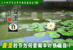 夏至这个日子啊...真的让人又爱又恨！