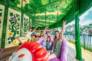 游客视角：从狂热到理性的转变